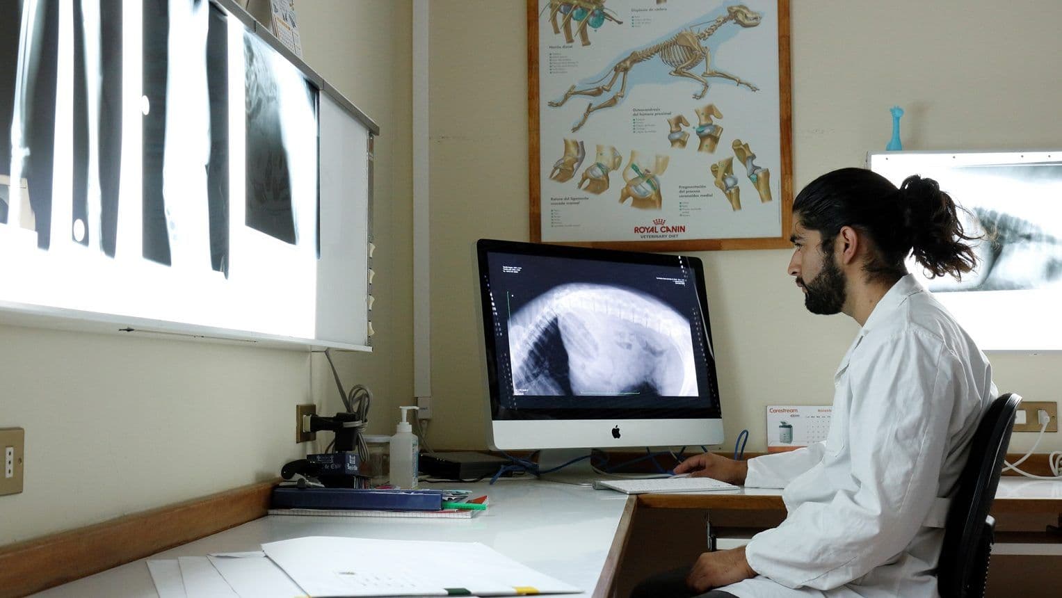 Radiología